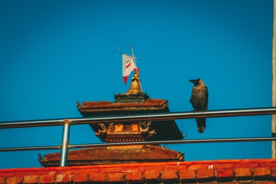 图聚科技